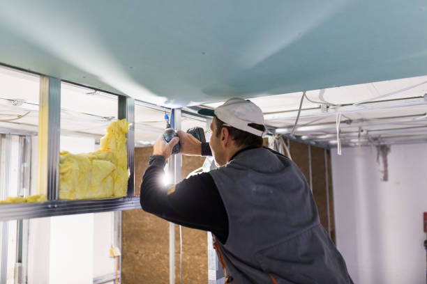 Best Insulation Maintenance and Repair in Chantilly, VA
