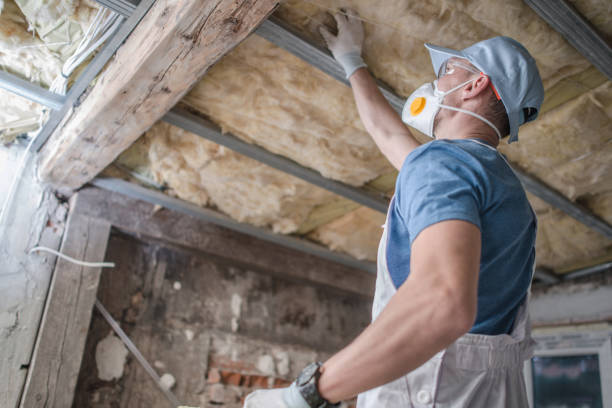 Best DIY Insulation Kits and Guidance in Chantilly, VA
