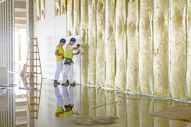Best Eco-Friendly Insulation in Chantilly, VA